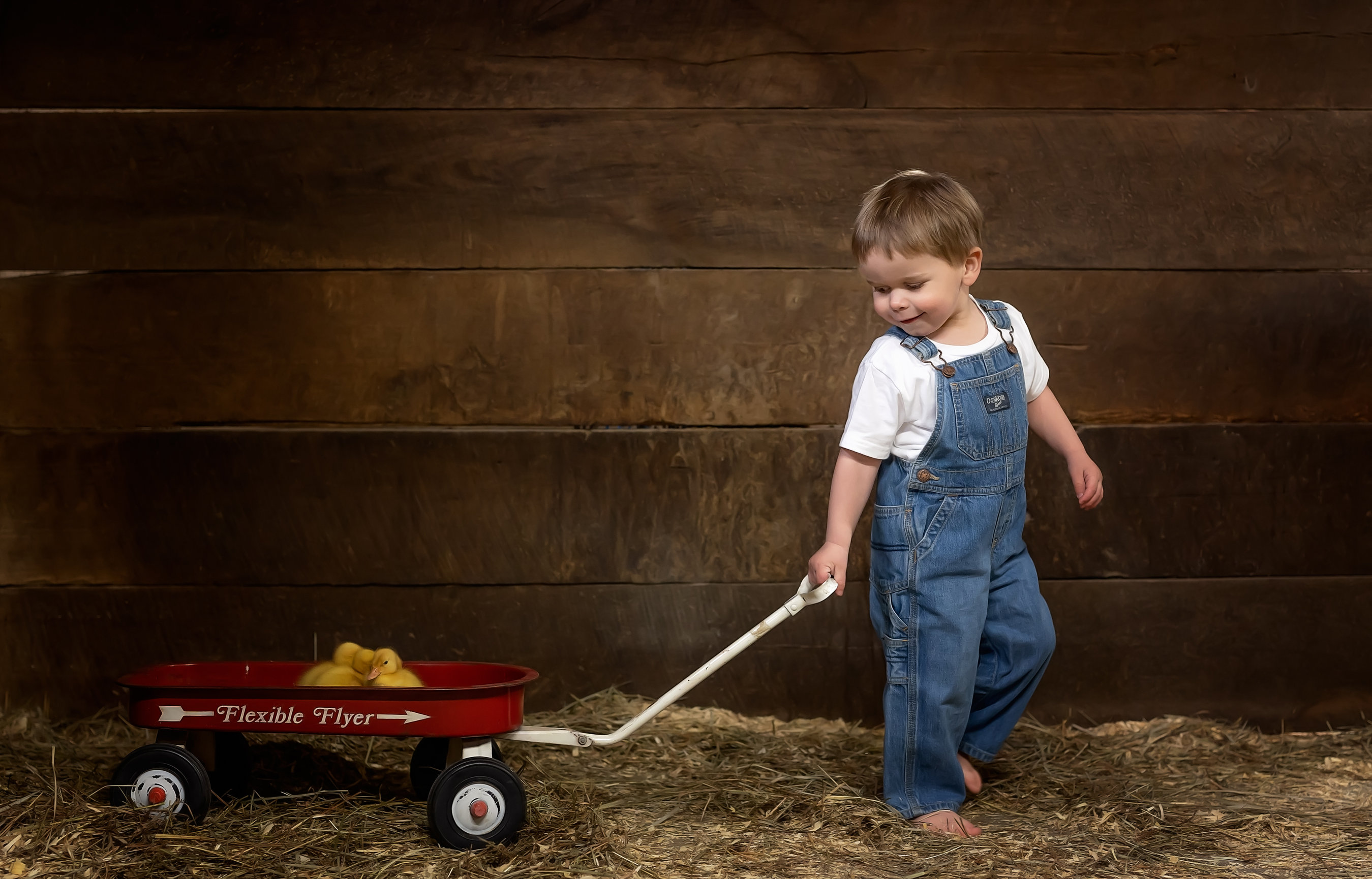 Custom Portrait Session On The Farm In Butler Pa Cranberry Township