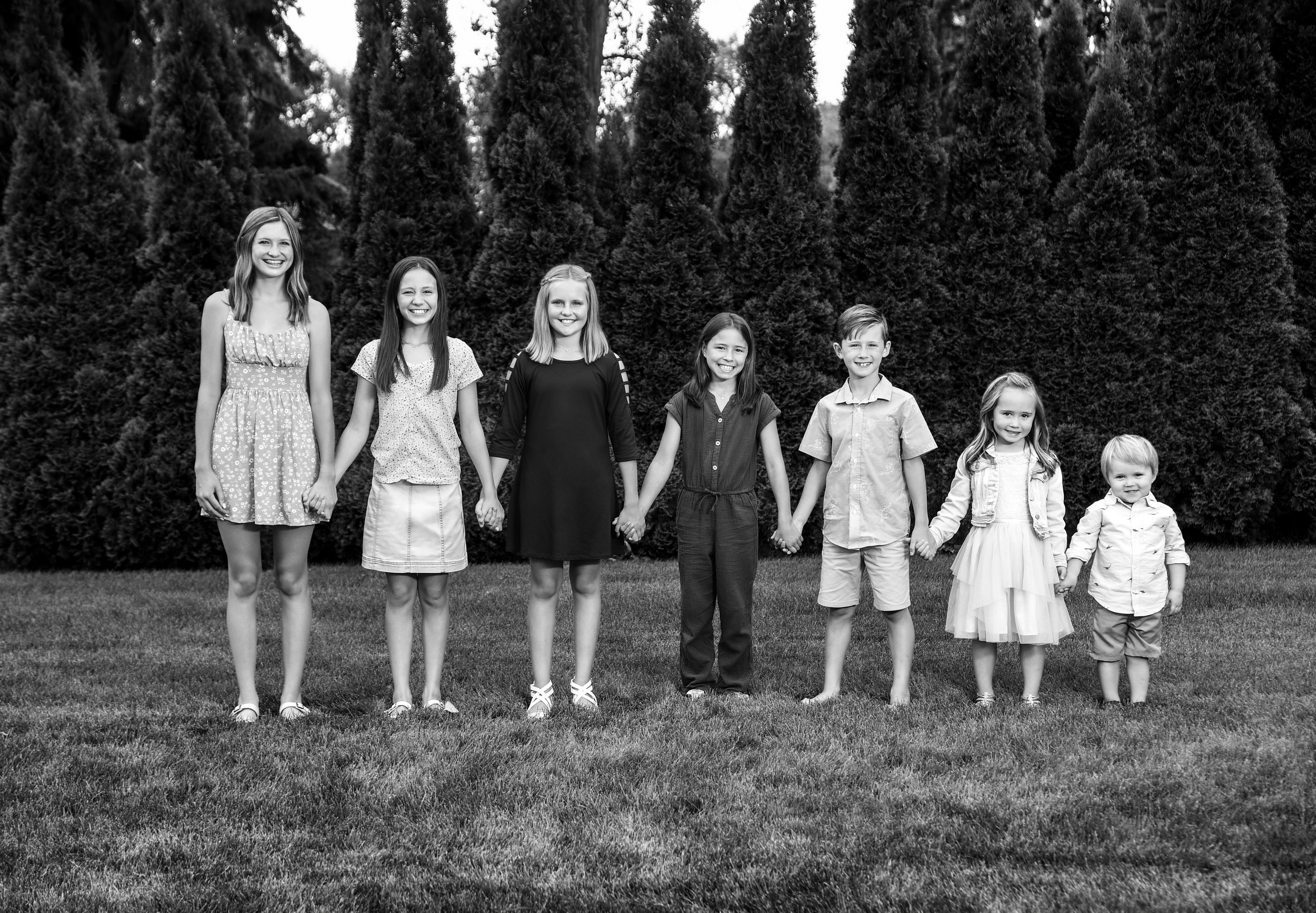 The Art of Black and White Photography - Harmann Studios, image size:2494x1730