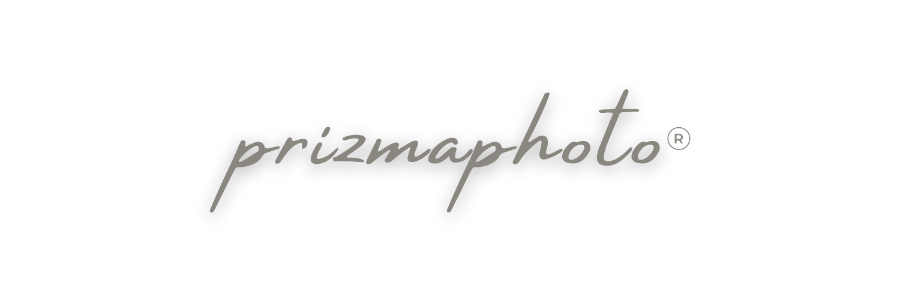 prizma photo Logo