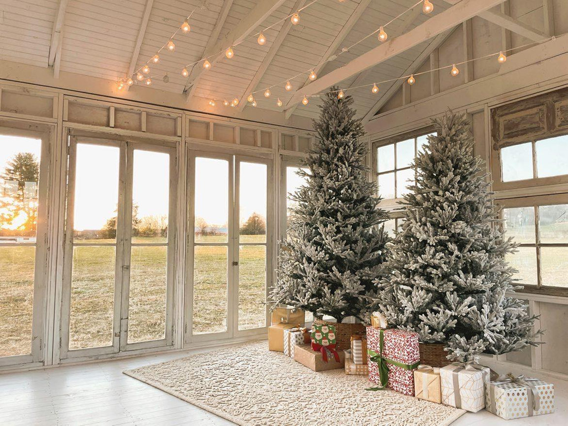 Christmas In Knoxville Tn 2022 Christmas 2022 - Color Blind Photography