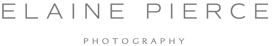 Elaine Pierce Photography Logo