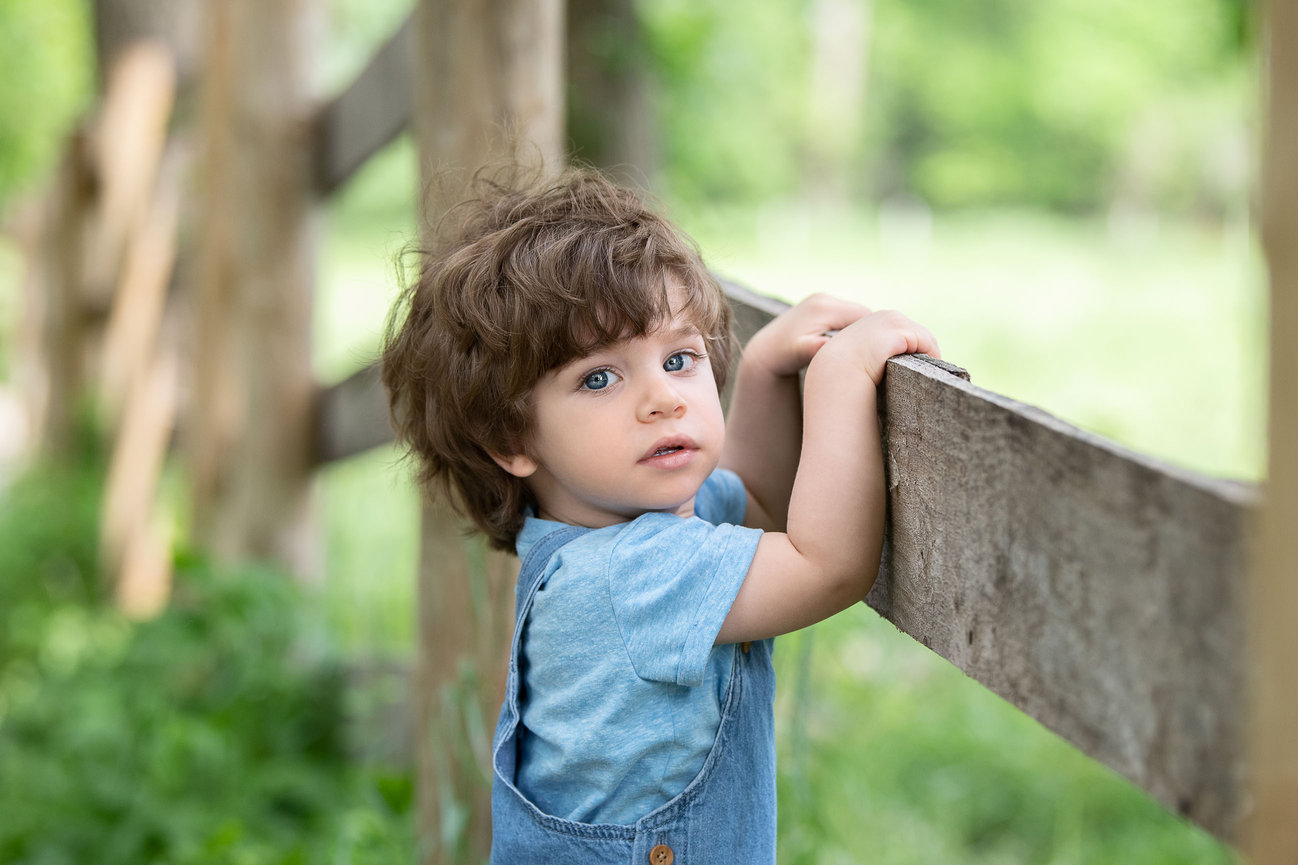 A young child with brown hair and blue eyes is captured by a Barrington family photographer, wearing a blue shirt and overalls while holding onto a wooden fence. The blurred, lush green of the countryside background suggests an idyllic park setting.