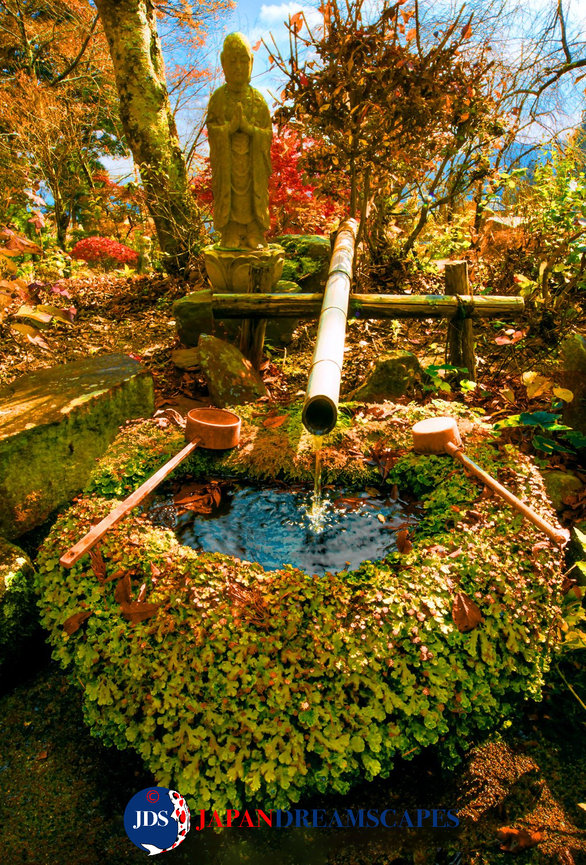 2026 Capture Fall's Beauty: Autumn Leaves Tour - JAPAN DREAMSCAPES