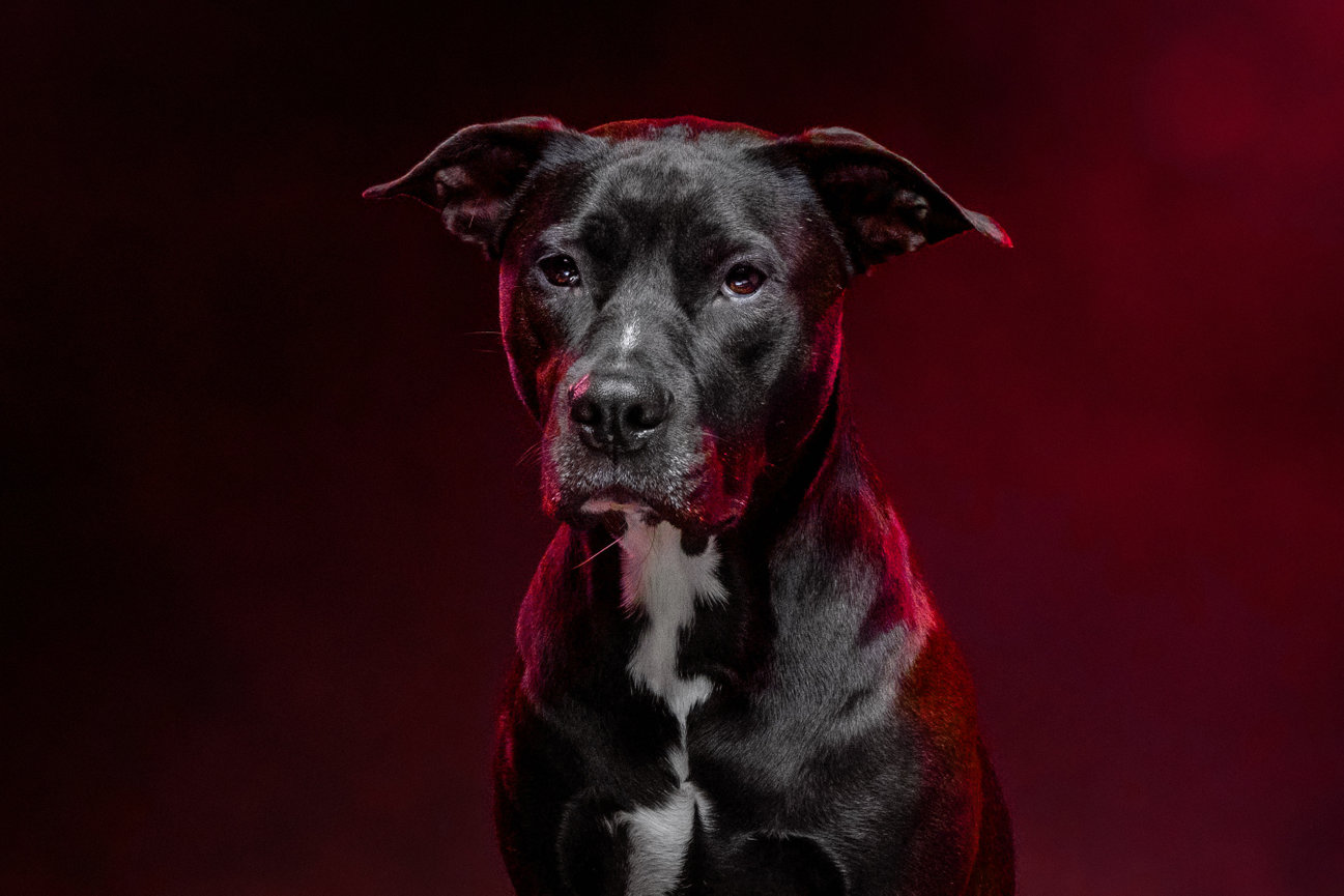 Original portrait before creative transformation