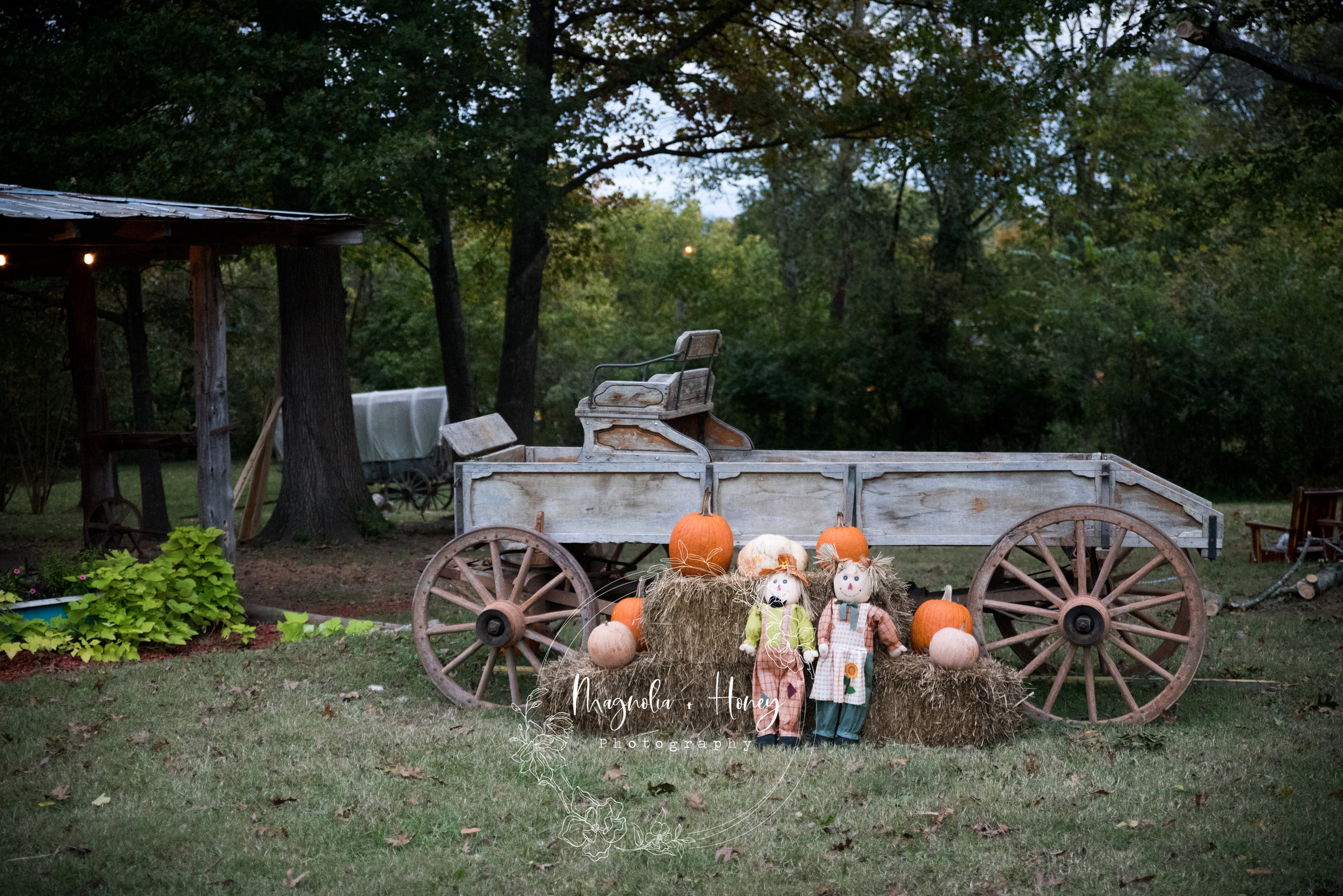 Circle P Ranch Mt. Juliet, Tennessee - Magnolia + Honey Photography